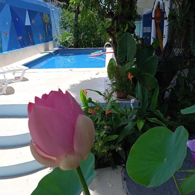 Porto Bahia Hotel Porto Seguro Ngoại thất bức ảnh