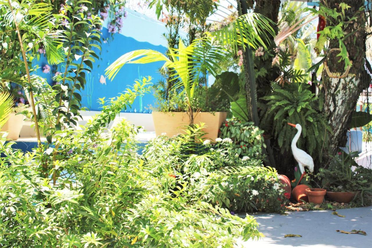 Porto Bahia Hotel Porto Seguro Ngoại thất bức ảnh